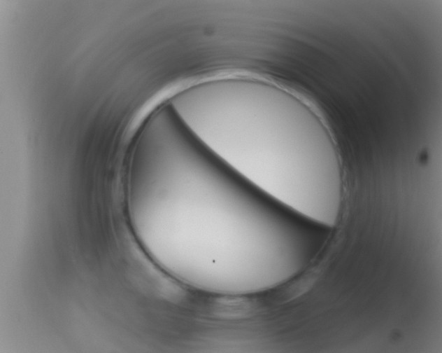 X0000114401142200910161050
