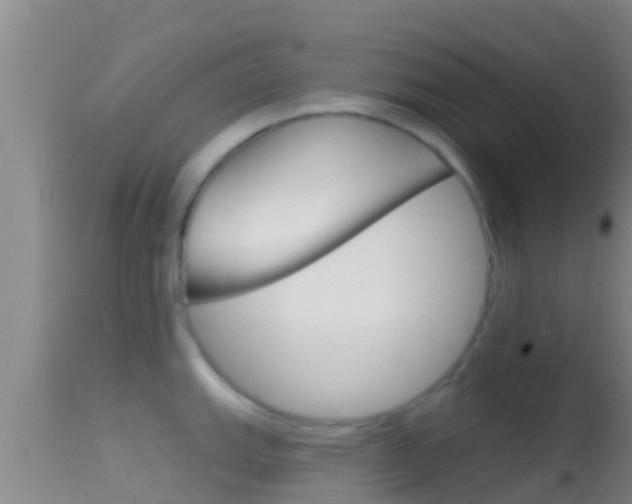 X0000114401143200910161050