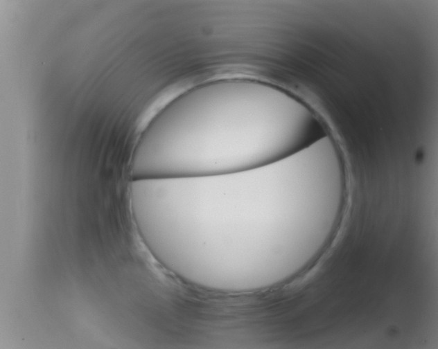 X0000114401145200910161050