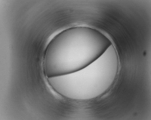 X0000114401149200910161050