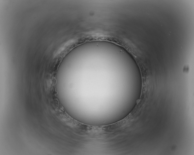 X0000114401157200910161049