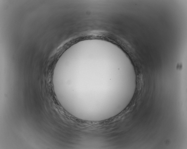 X0000114401158200910161049