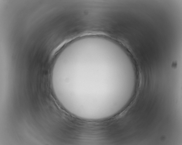X0000114401165200910161049