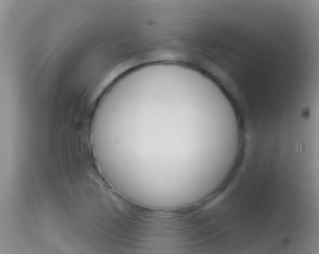 X0000114401170200910161049