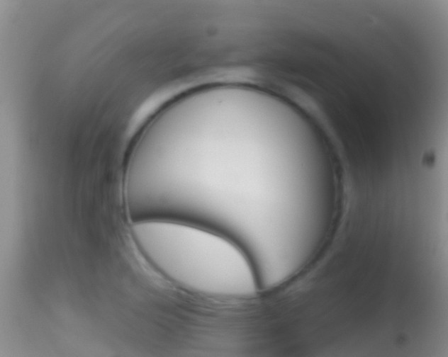 X0000114401176200910161049