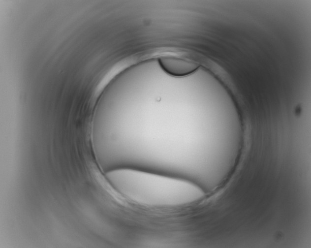 X0000114401186200910161048