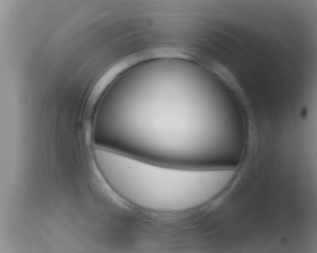 X0000114401188200910161048