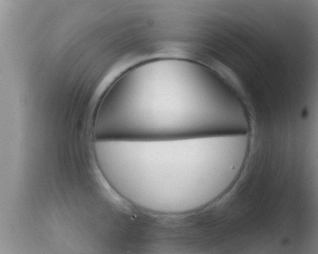 X0000114401192200910161048