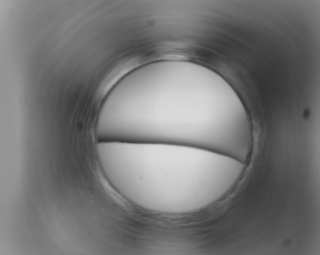 X0000114401194200910161048