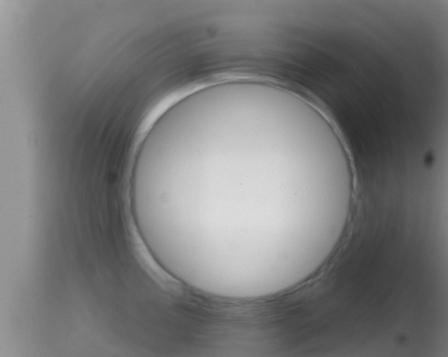X0000114401195200910161048
