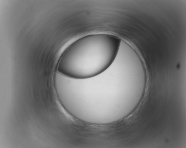 X0000114401197200910161048