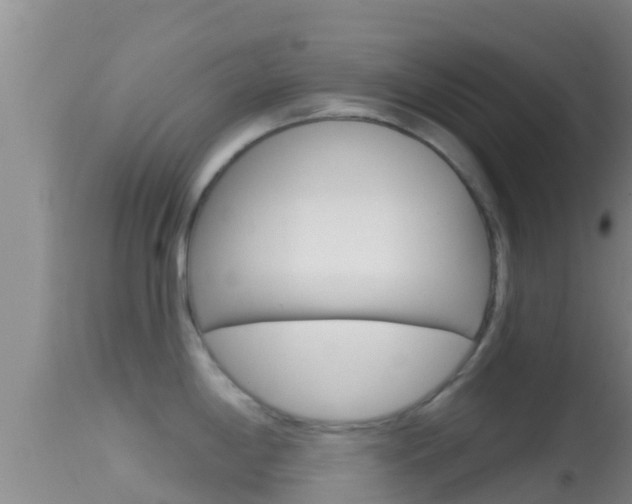 X0000114401198200910161048