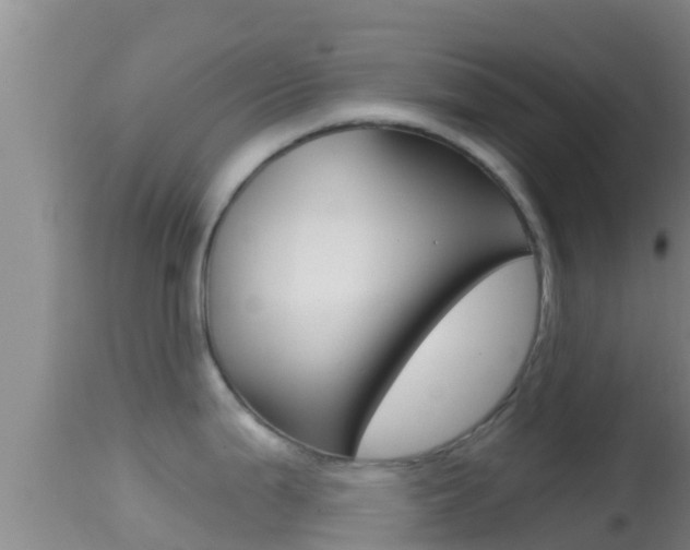 X0000114401199200910161048