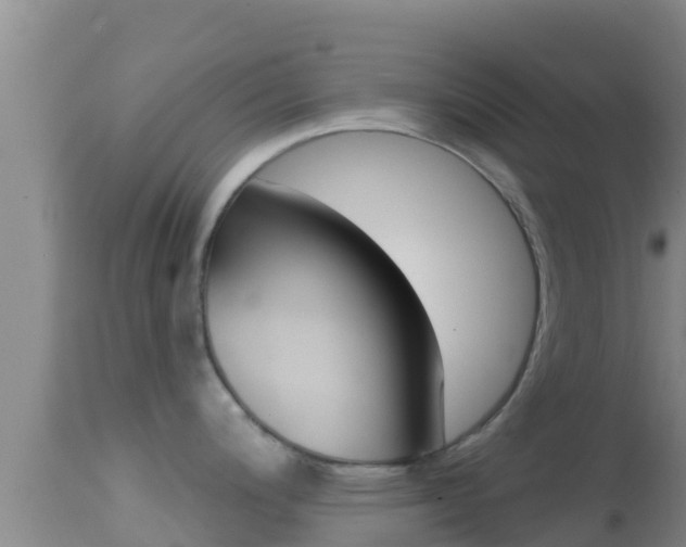 X0000114401200200910161048