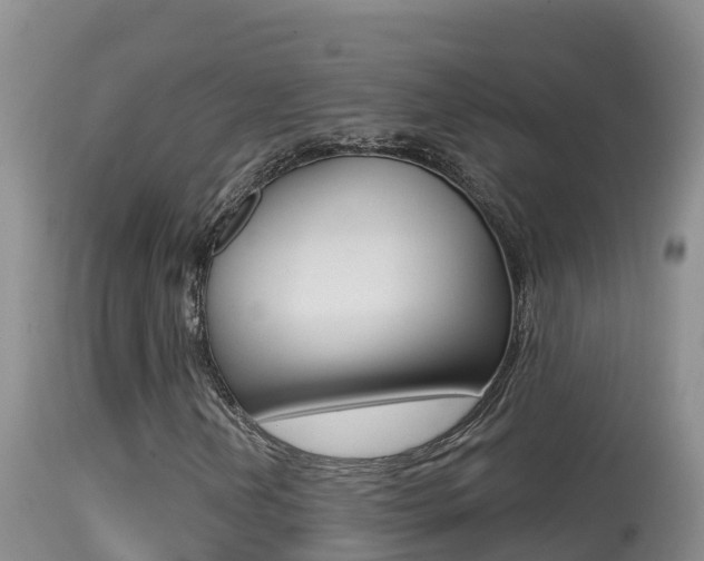 X0000114401202200910161047