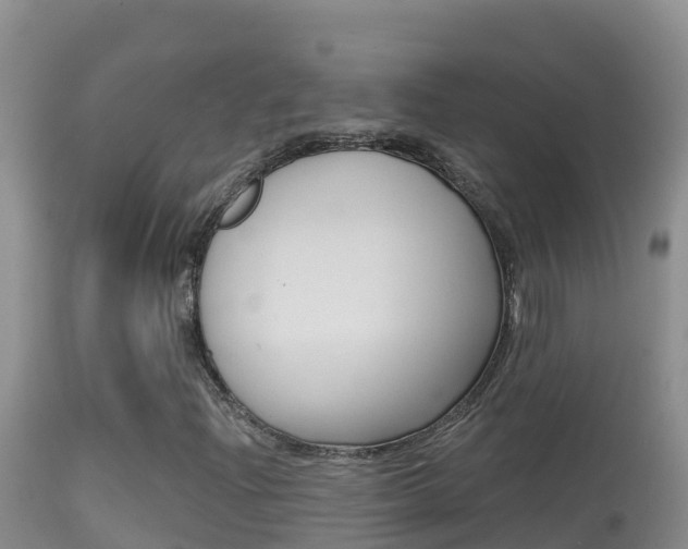 X0000114401204200910161047