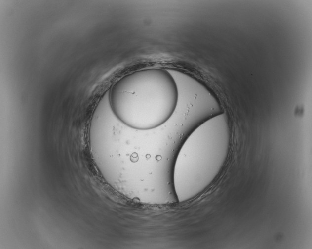 X0000114401205200910161047