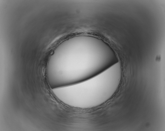 X0000114401206200910161047