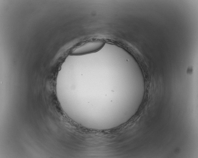 X0000114401207200910161047