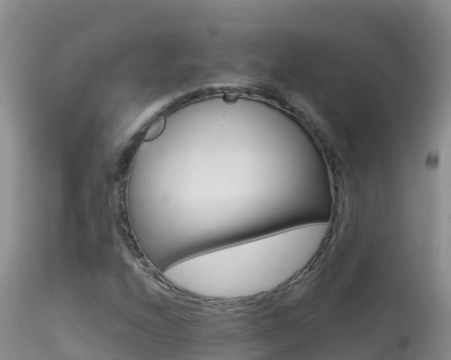 X0000114401208200910161047