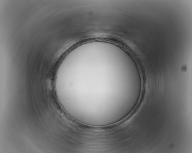 X0000114401209200910161047