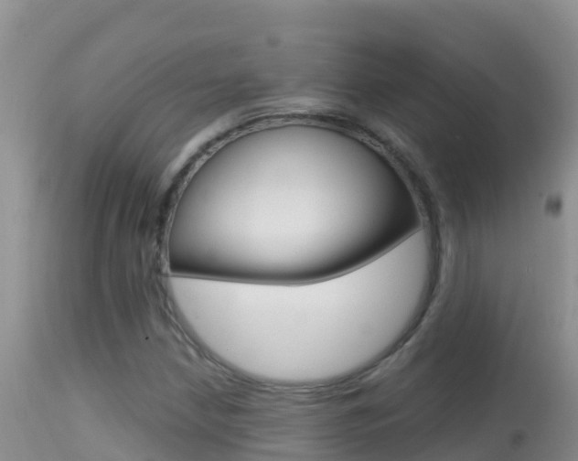 X0000114401210200910161047