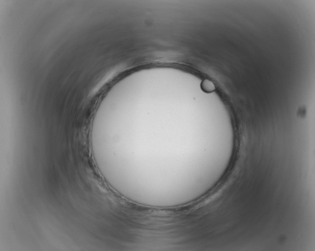 X0000114401211200910161047