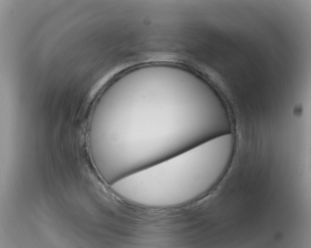 X0000114401212200910161047
