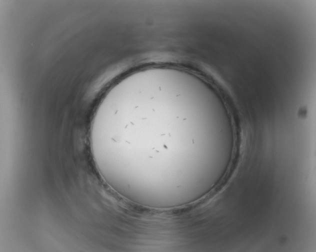 X0000114401213200910161048