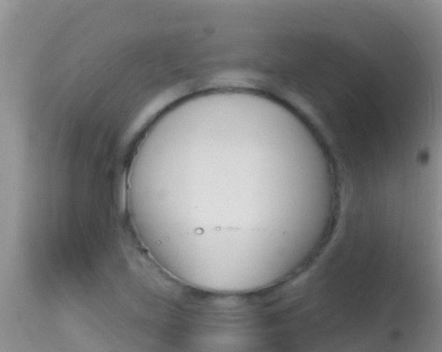 X0000114401219200910161048