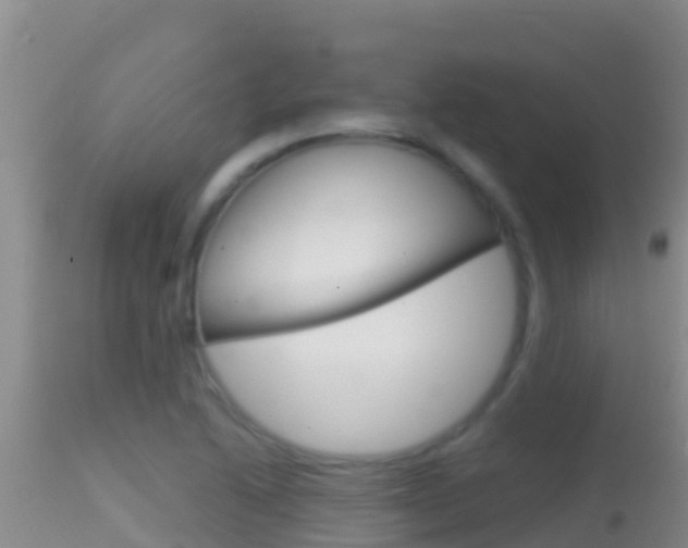 X0000114401222200910161048