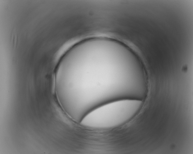 X0000114401223200910161048