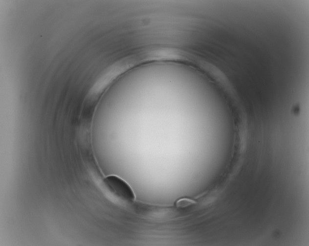 X0000114401225200910161048