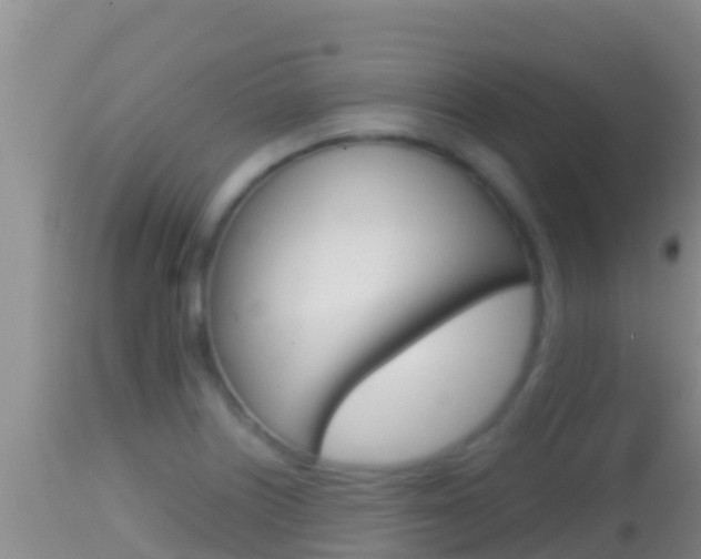 X0000114401226200910161048