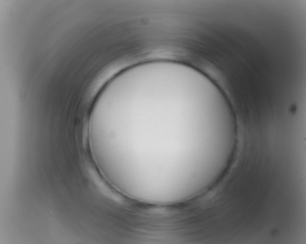X0000114401227200910161048