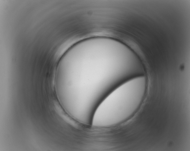 X0000114401228200910161048