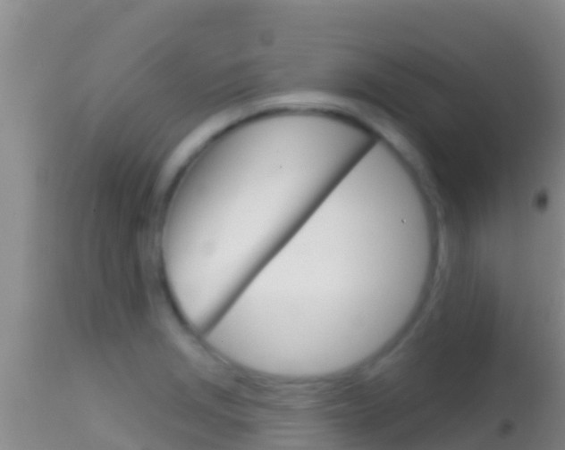 X0000114401229200910161048