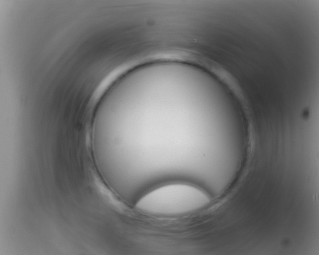 X0000114401232200910161048