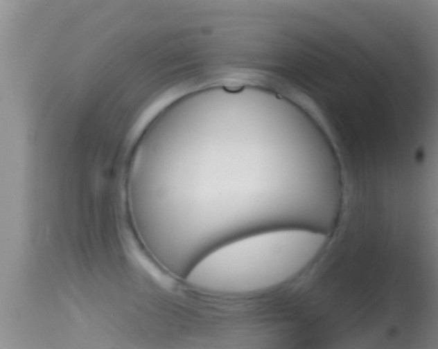 X0000114401235200910161048