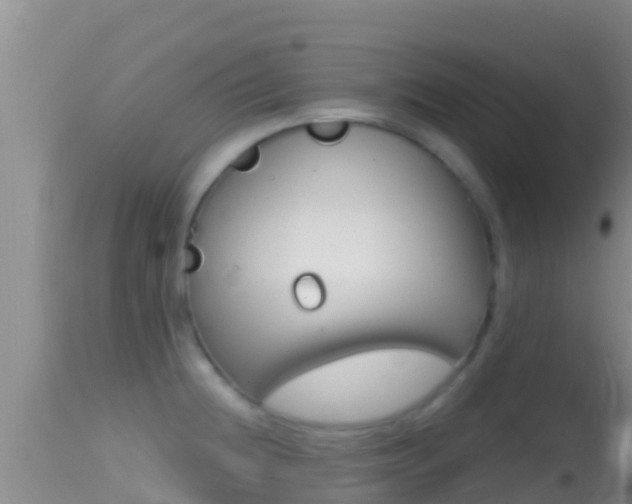 X0000114401236200910161048