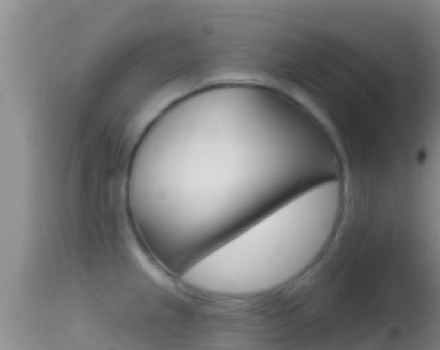 X0000114401237200910161048