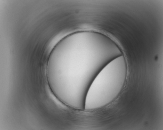 X0000114401239200910161048