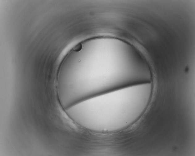 X0000114401240200910161048