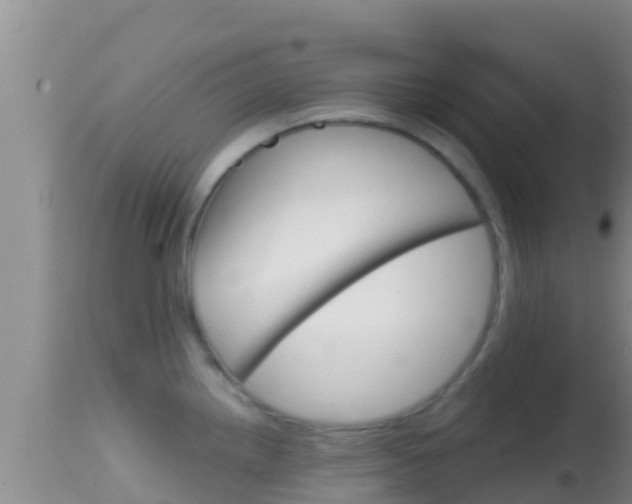 X0000114401242200910161048