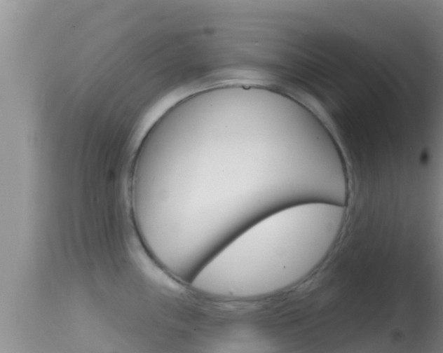 X0000114401243200910161048