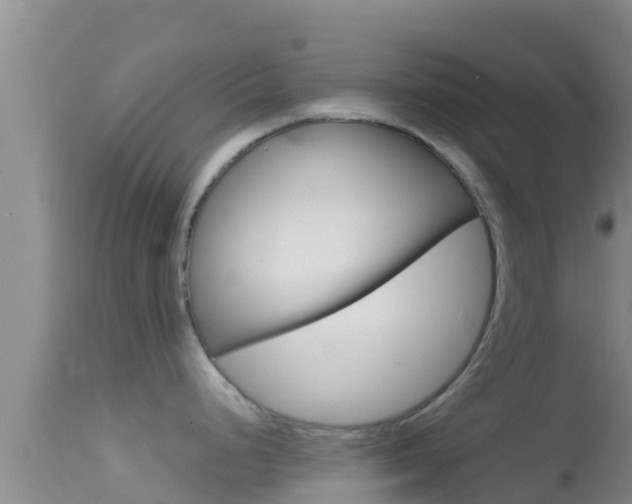 X0000114401248200910161048