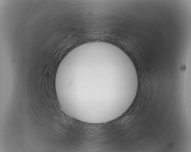 X0000114401249200910161047