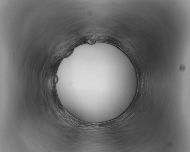 X0000114401250200910161047