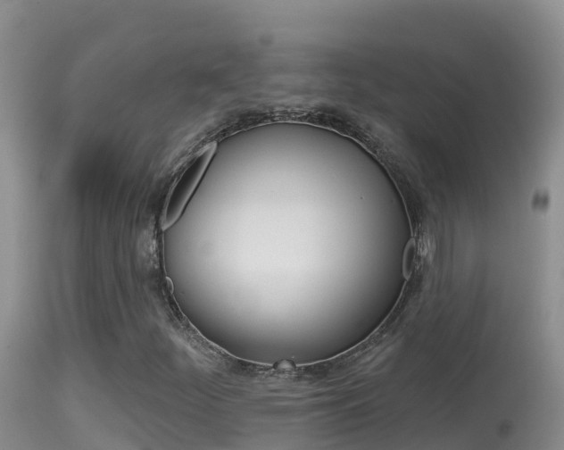 X0000114401252200910161047