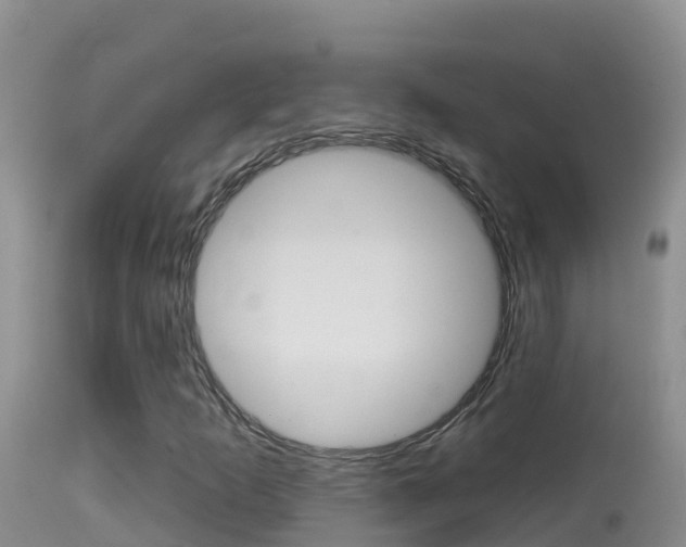X0000114401253200910161047
